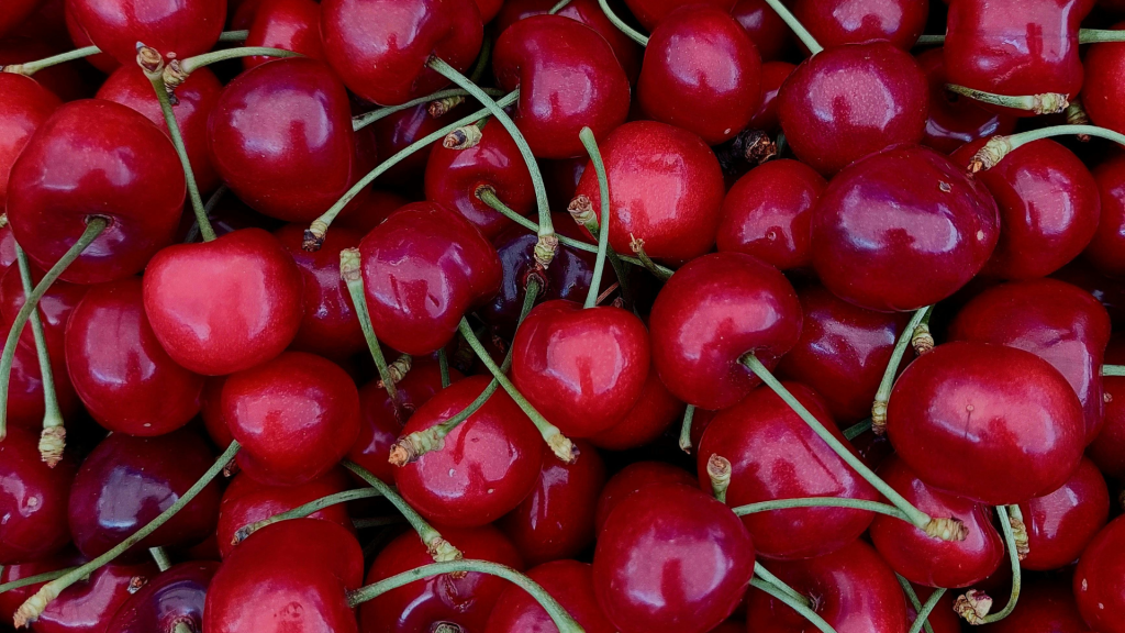 Cerezas del Valle del Jerte