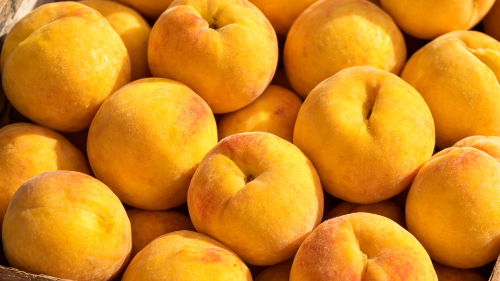 Fiesta del Melocotón